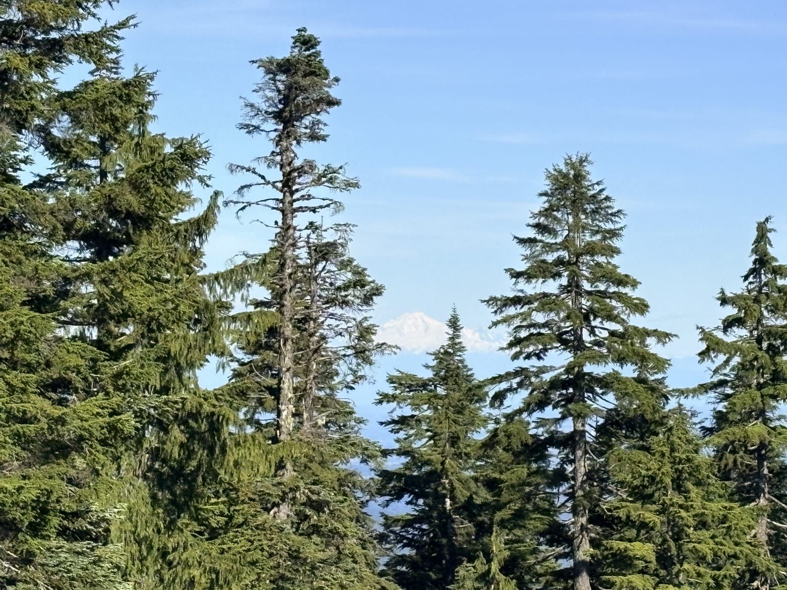 vancouver